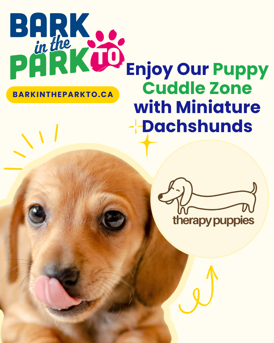 Puppies, cuddle zone, puppy therapy, toronto.